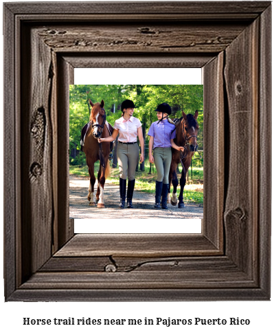 horse trail rides near me in Pjaros, Puerto Rico